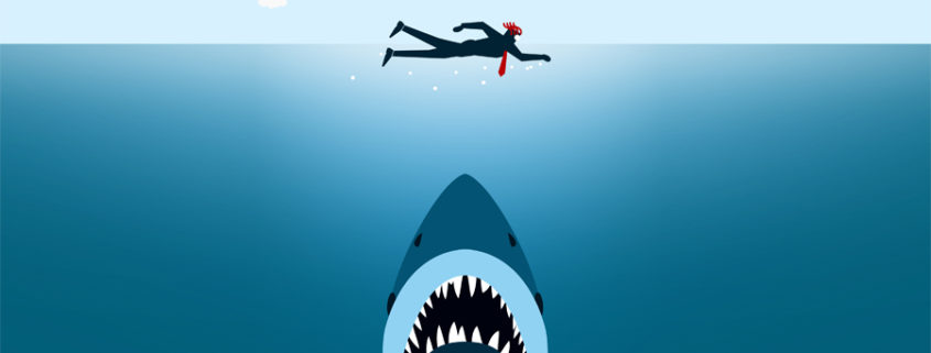 A swimmer and a shark illustration