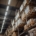 supplier